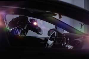 Theft Crimes